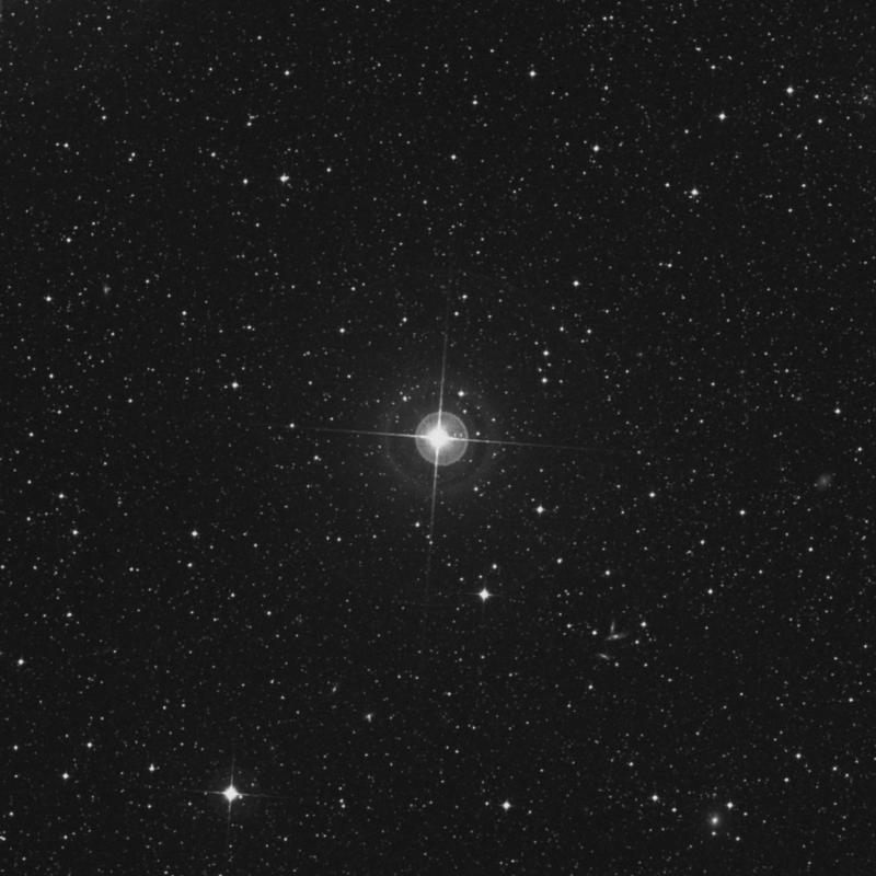Image of π1 Doradus (pi1 Doradus) star