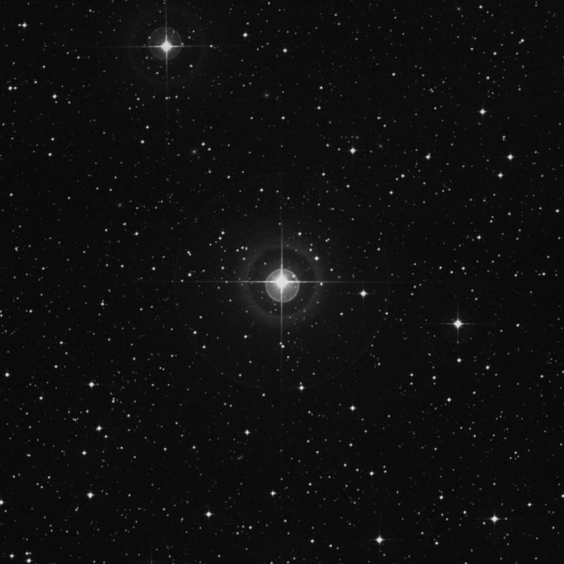 Image of λ Canis Majoris (lambda Canis Majoris) star