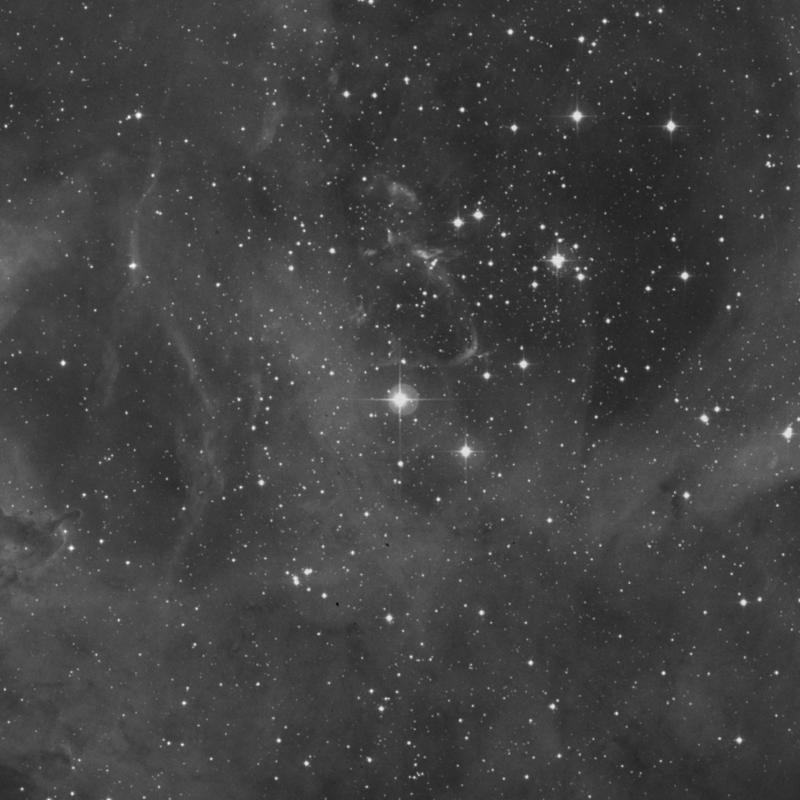 Image of 12 Monocerotis star