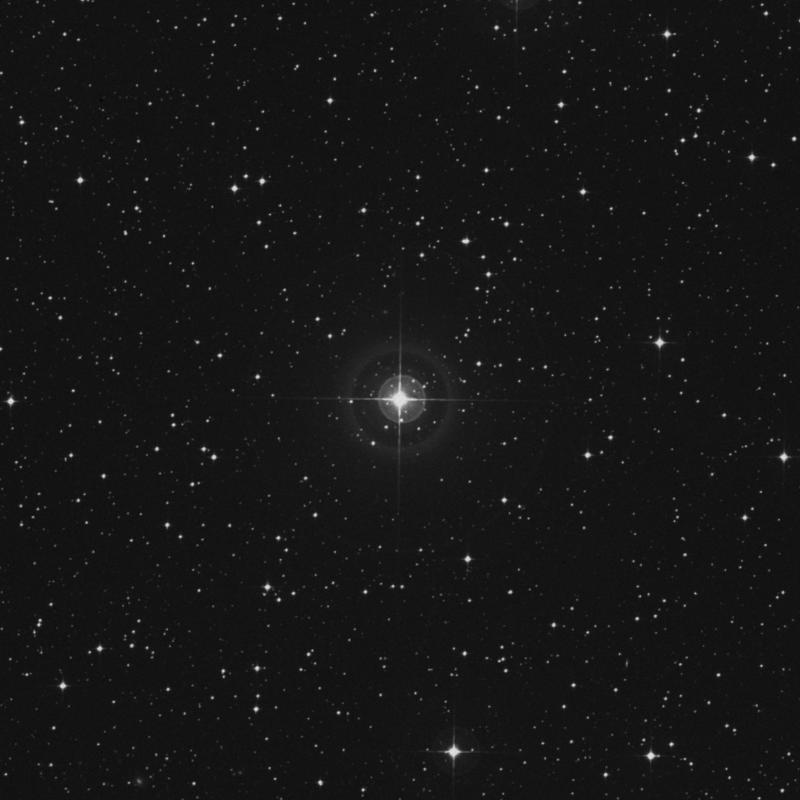 Image of HR2388 star