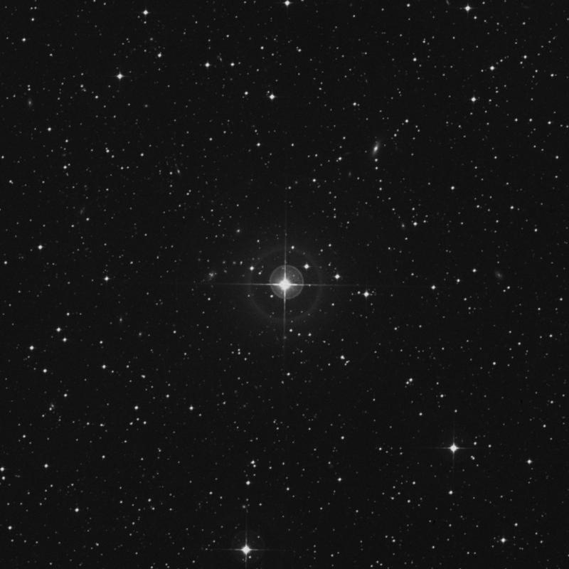 Image of HR2393 star