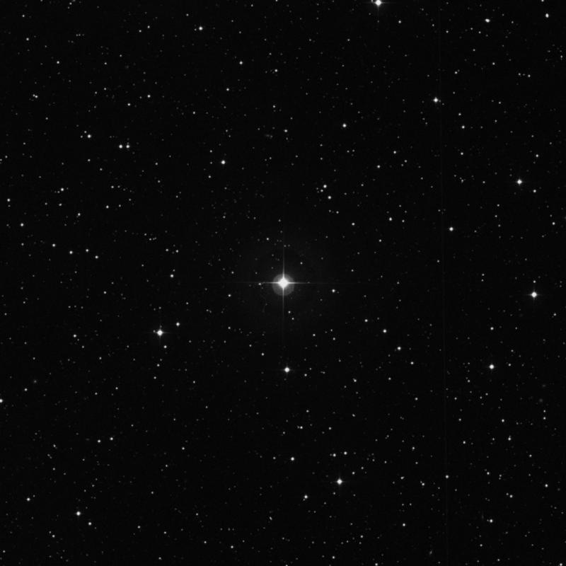 Image of 11 Lyncis star