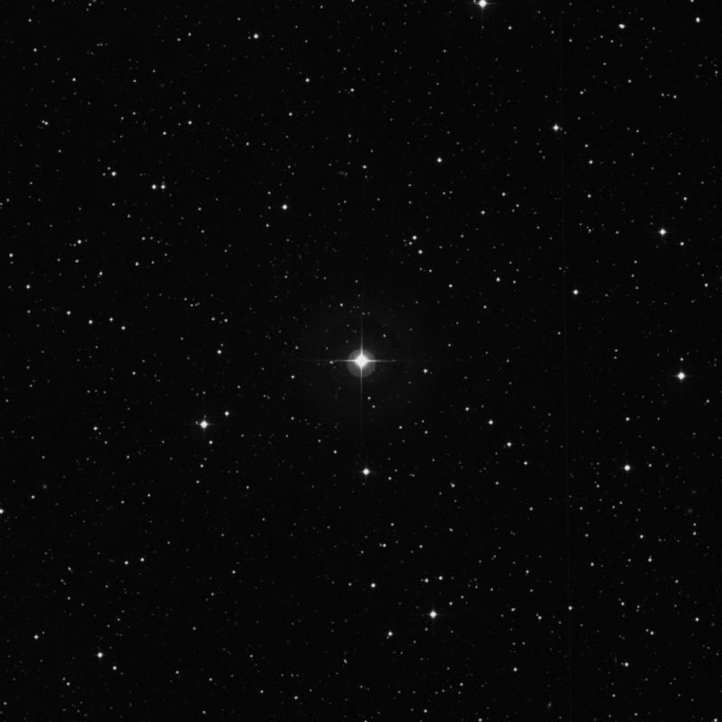 Image of 11 Lyncis star