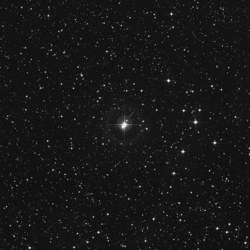 Image of HR2481 star