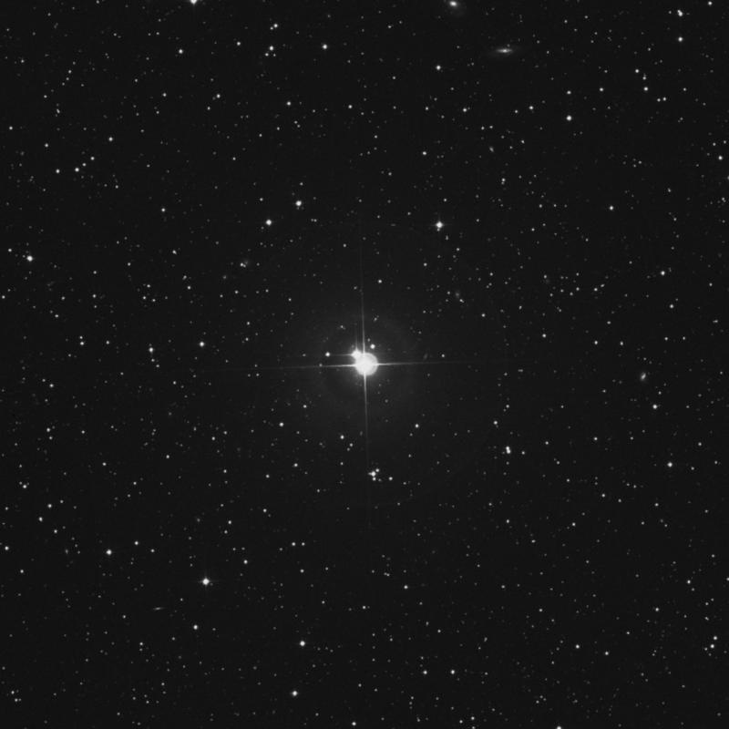 Image of ψ5 Aurigae (psi5 Aurigae) star