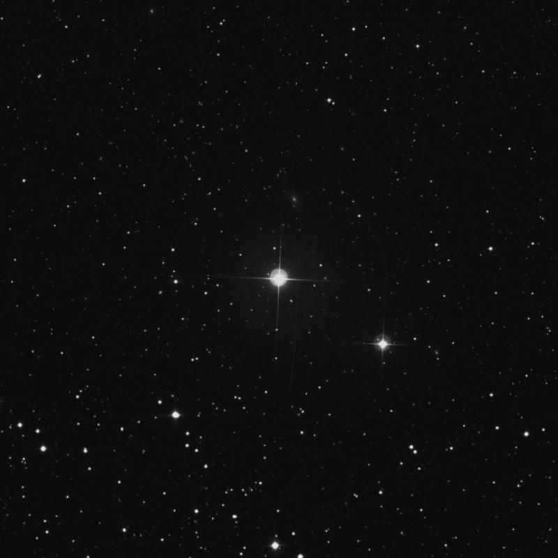 Image of 42 Camelopardalis star