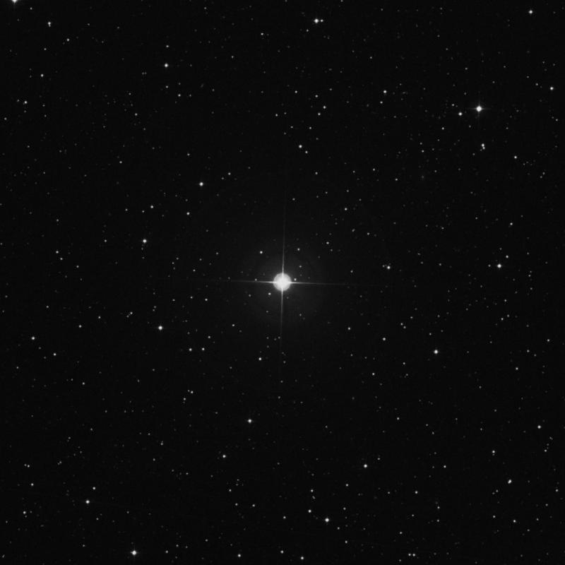 Image of 43 Camelopardalis star