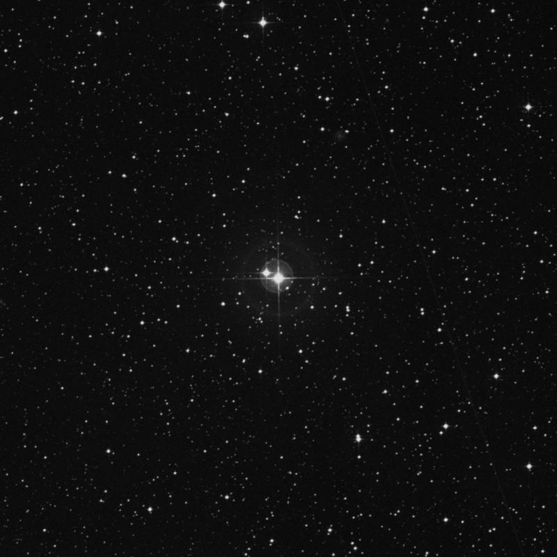 Image of HR2545 star