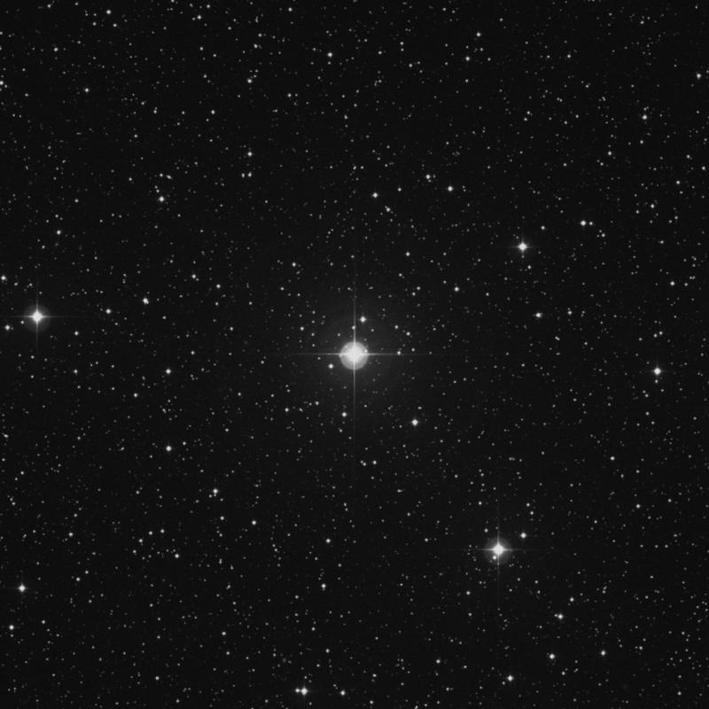 Image of 41 Geminorum star