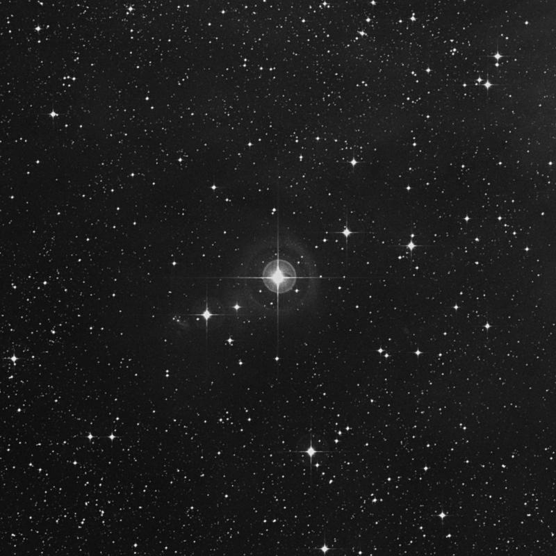 HR2678 - Star in Canis Major | TheSkyLive.com