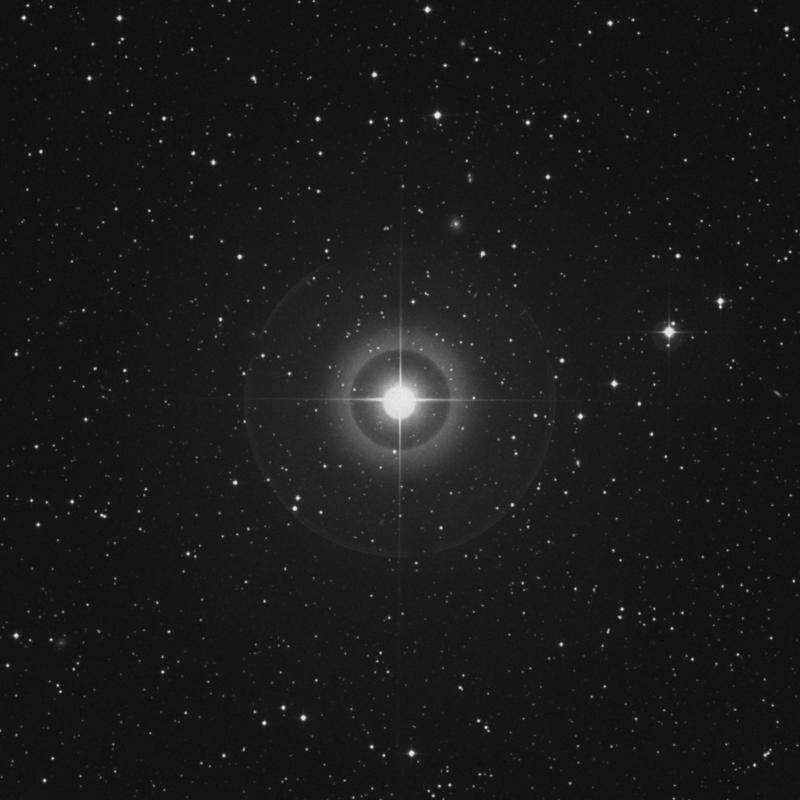 Image of Wasat - δ Geminorum (delta Geminorum) star