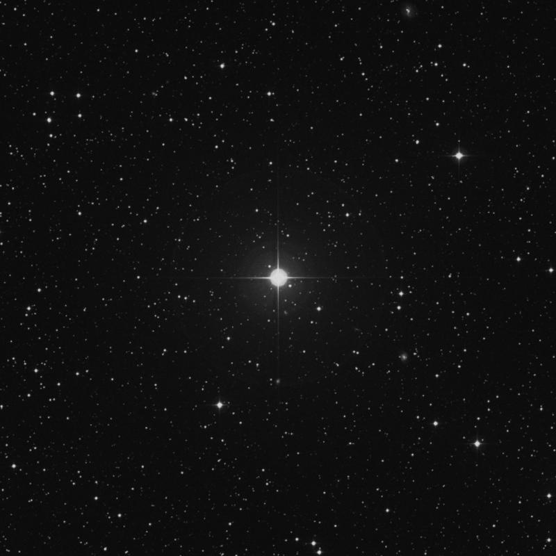 Image of ε Canis Minoris (epsilon Canis Minoris) star