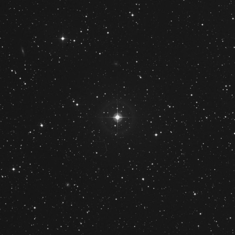 Image of 61 Geminorum star