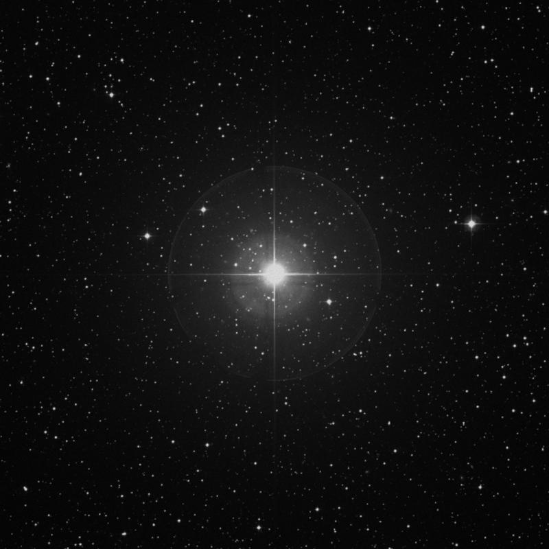 Image of Gomeisa - β Canis Minoris (beta Canis Minoris) star