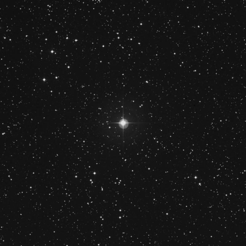Image of η Canis Minoris (eta Canis Minoris) star
