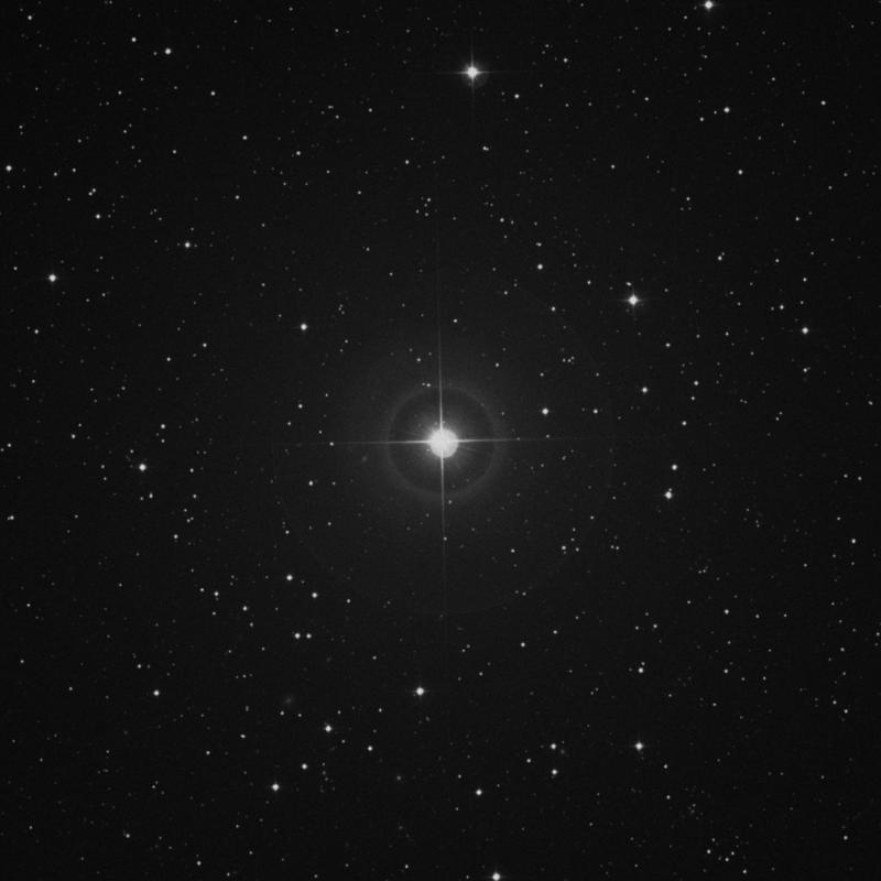 Image of ρ Geminorum (rho Geminorum) star