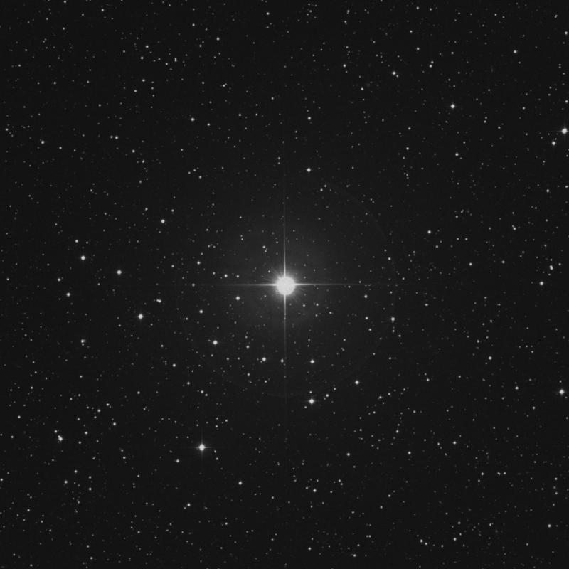 Image of 6 Canis Minoris star
