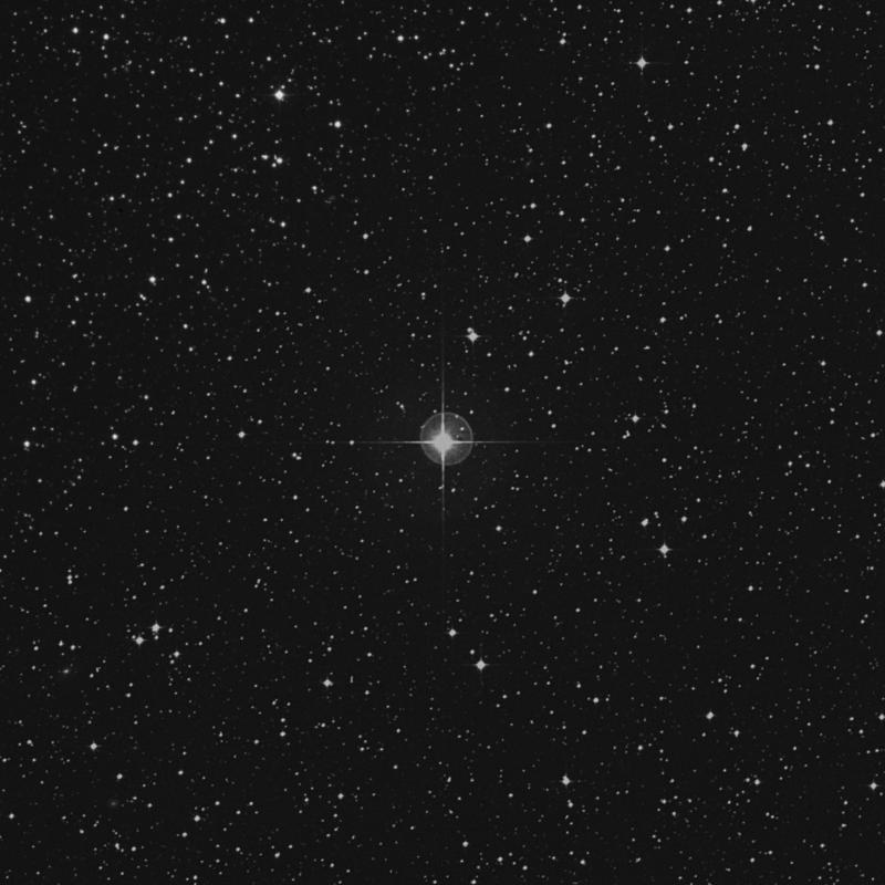 Image of HR2865 star