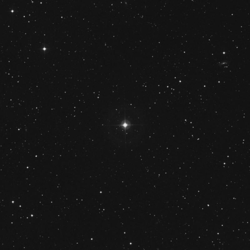 Image of HR2872 star
