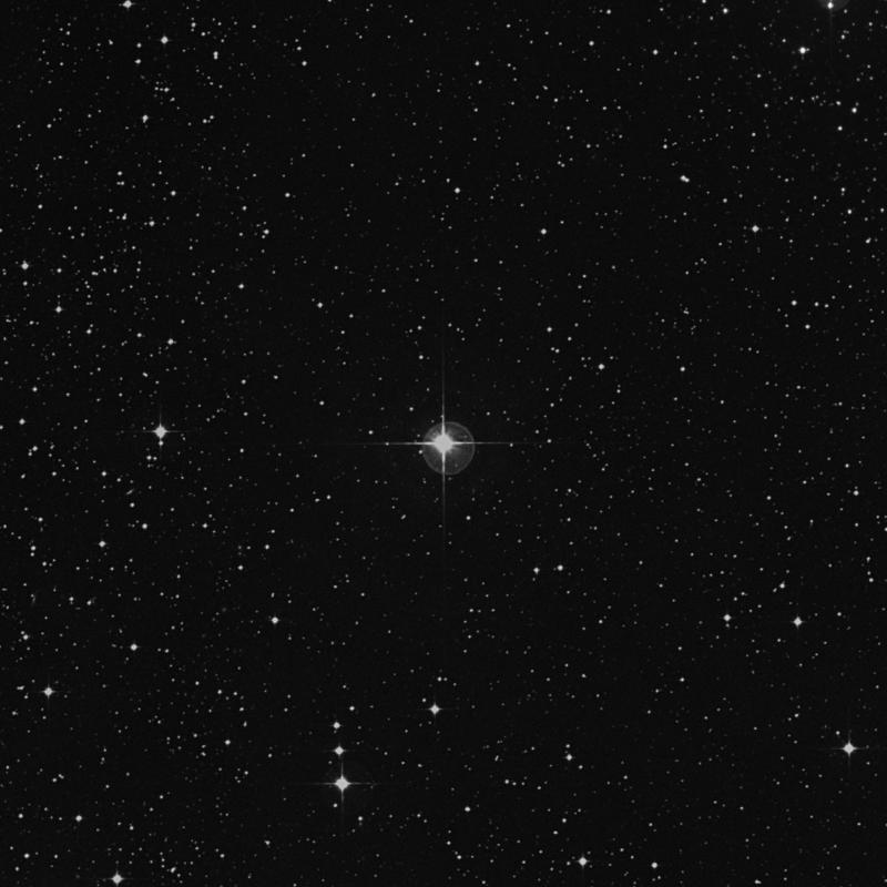 Image of δ1 Canis Minoris (delta1 Canis Minoris) star