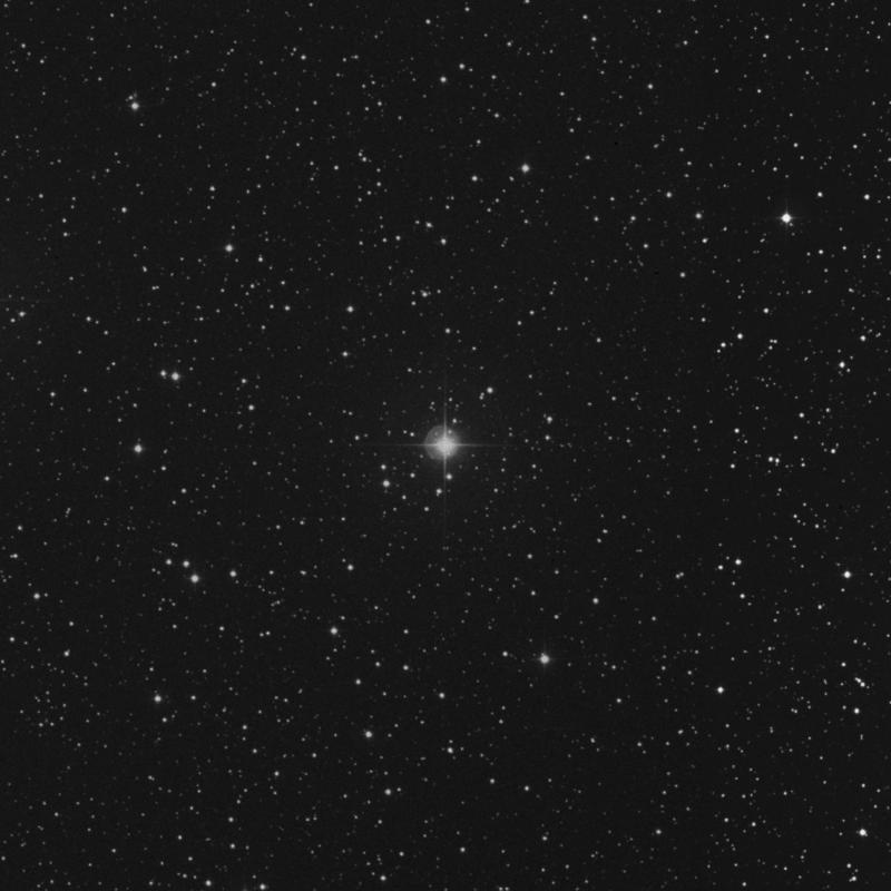 Image of δ2 Canis Minoris (delta2 Canis Minoris) star