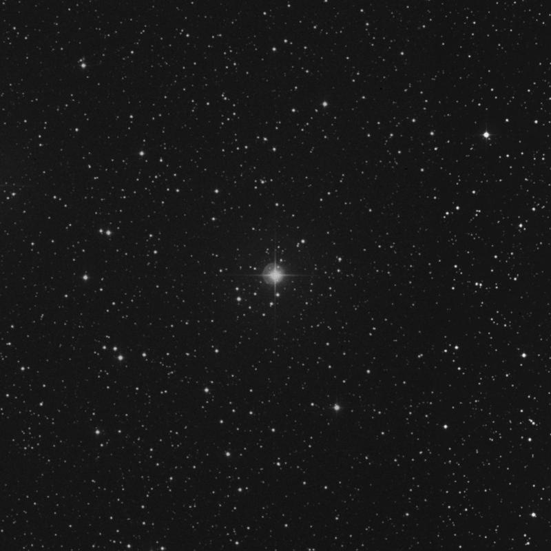 Image of δ2 Canis Minoris (delta2 Canis Minoris) star