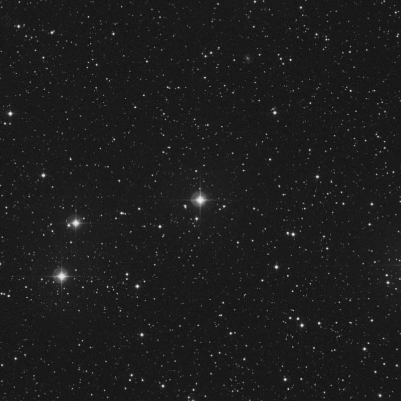 Image of δ3 Canis Minoris (delta3 Canis Minoris) star