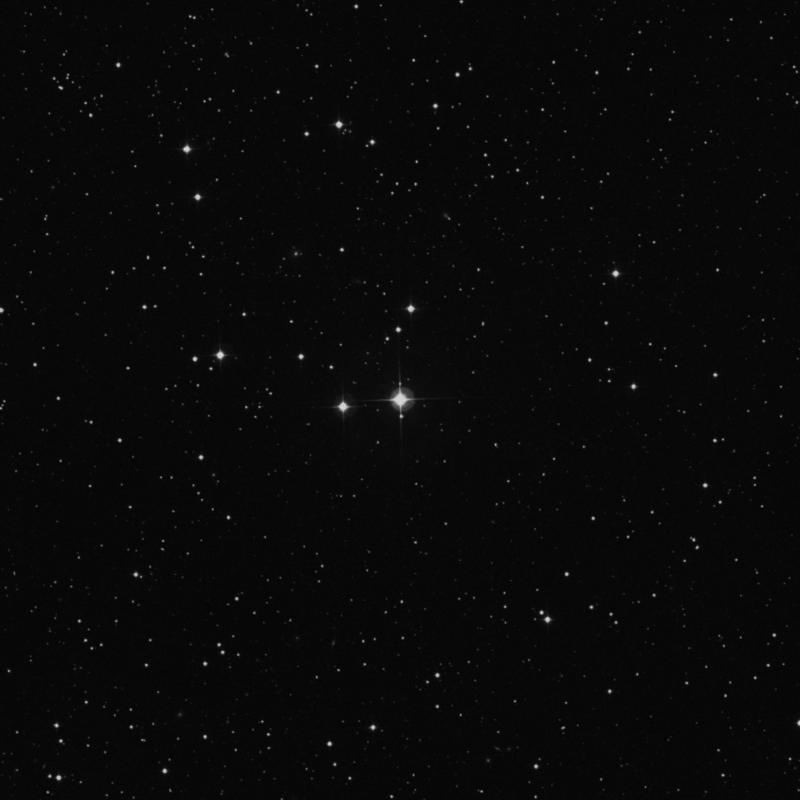 Image of HR305 star