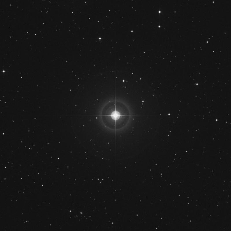 Image of HR341 star