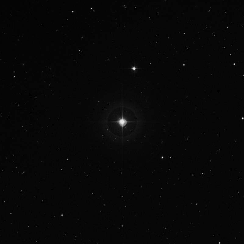 Image of 33 Ceti star