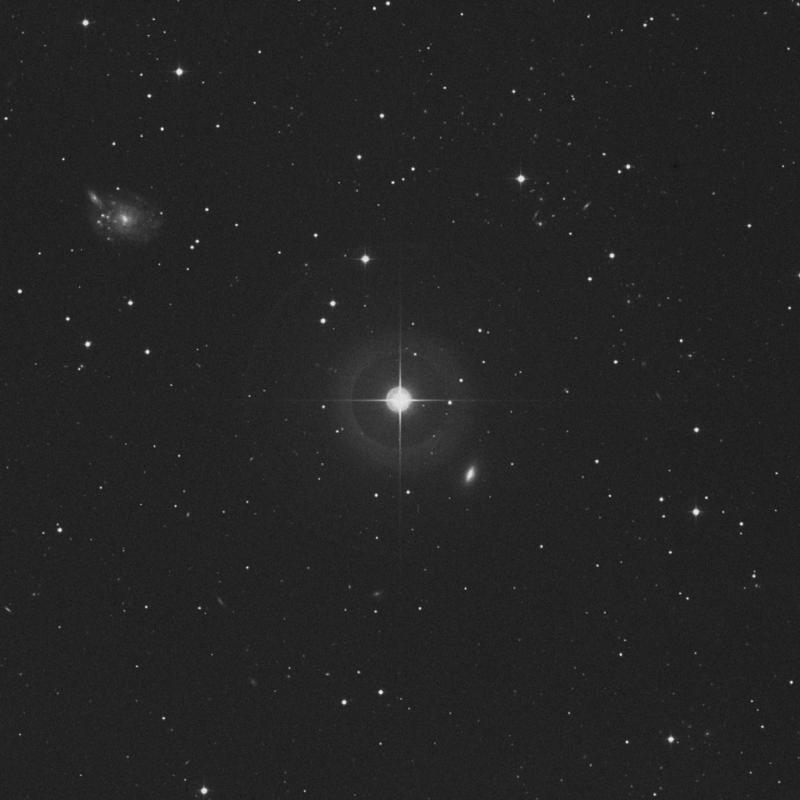Image of 38 Ceti star