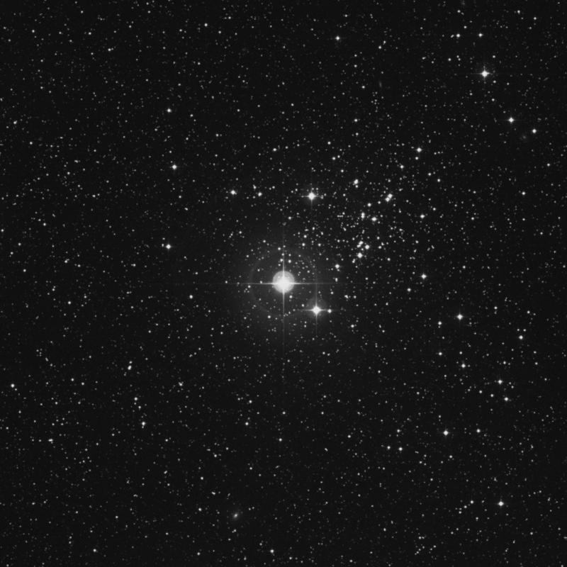 Image of φ Cassiopeiae (phi Cassiopeiae) star