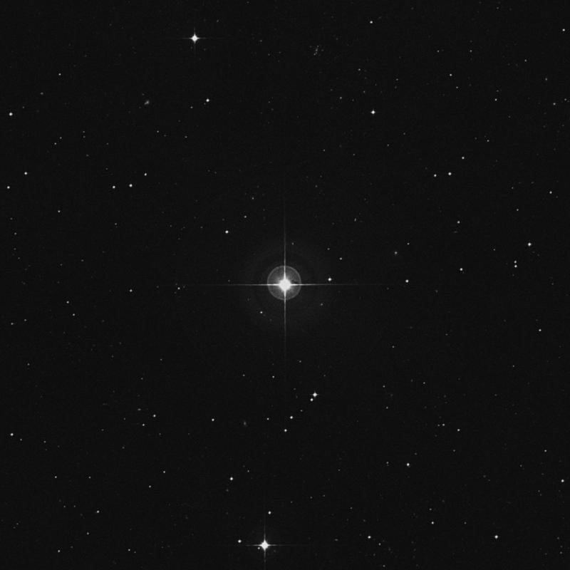 Image of HR388 star