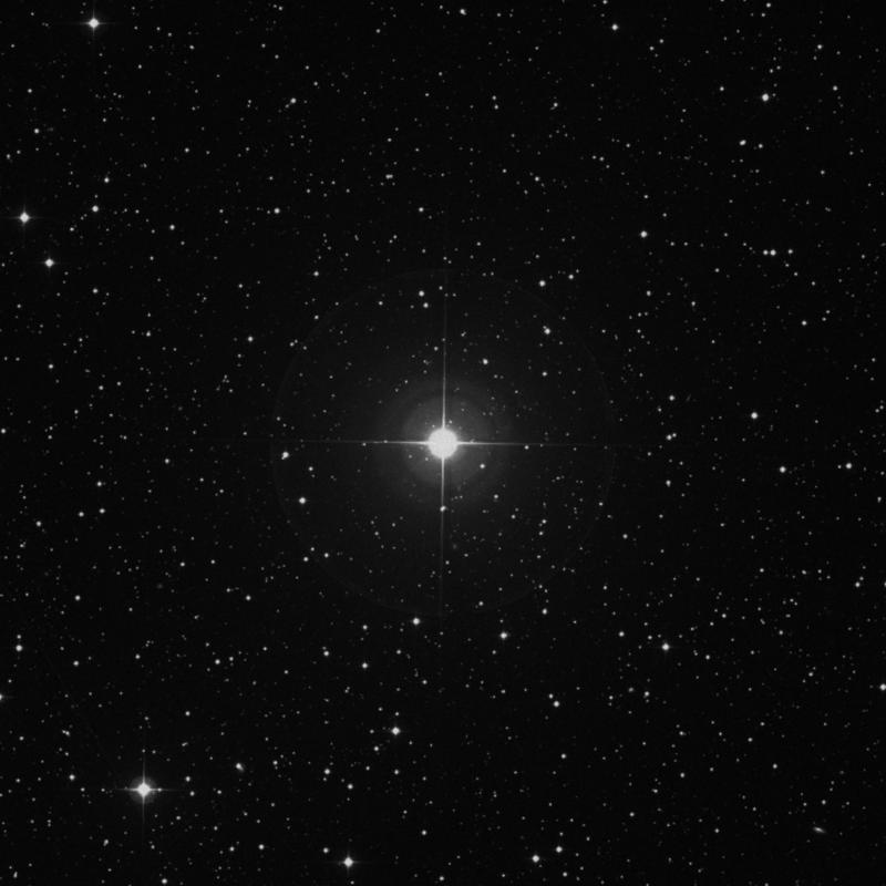 Image of Adhil - ξ Andromedae (xi Andromedae) star