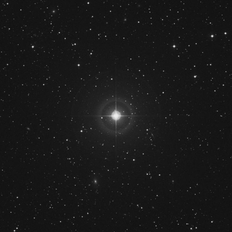 Image of 81 Geminorum star