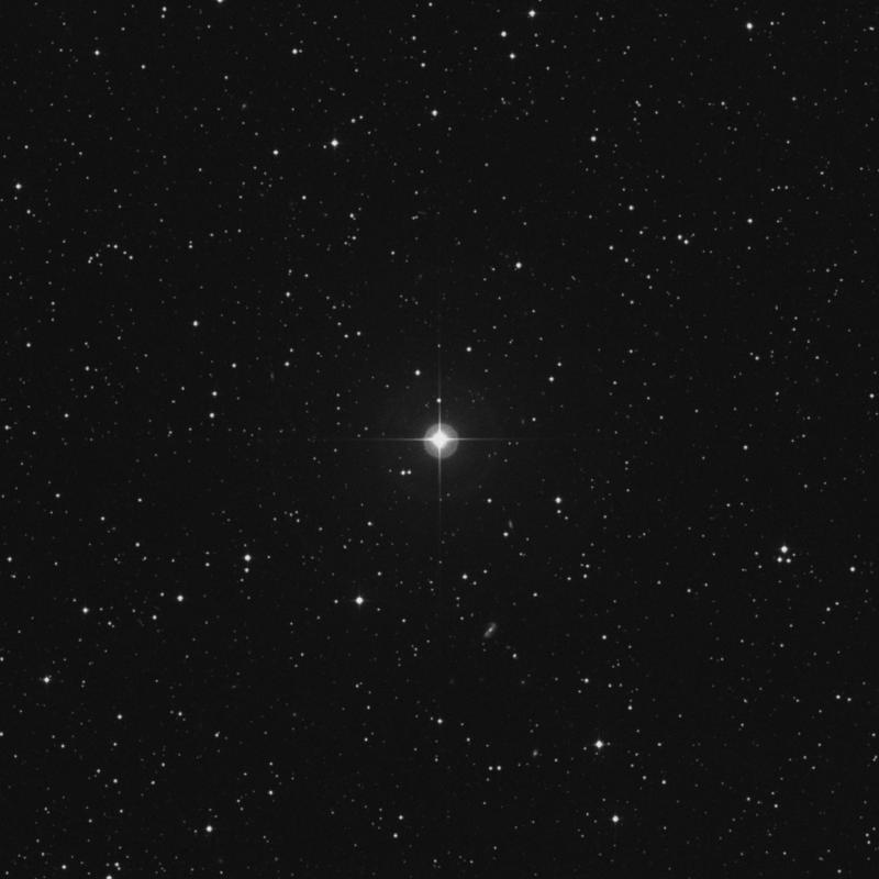 Image of 11 Canis Minoris star