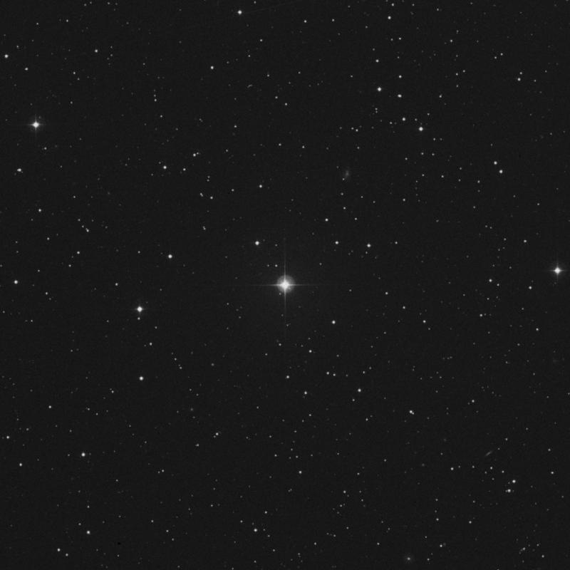 Image of 82 Geminorum star