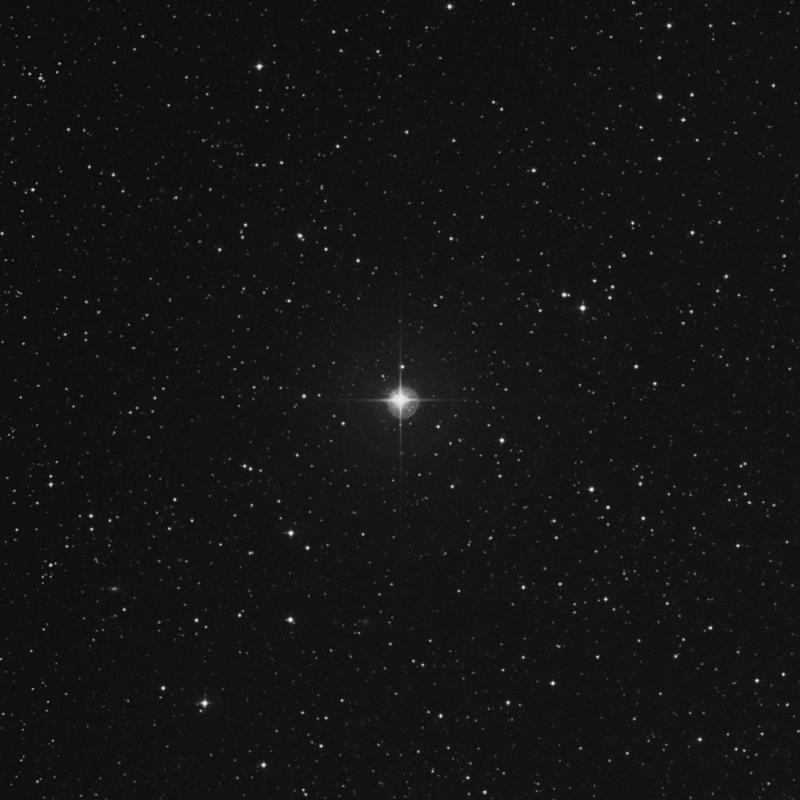 Image of ζ Canis Minoris (zeta Canis Minoris) star