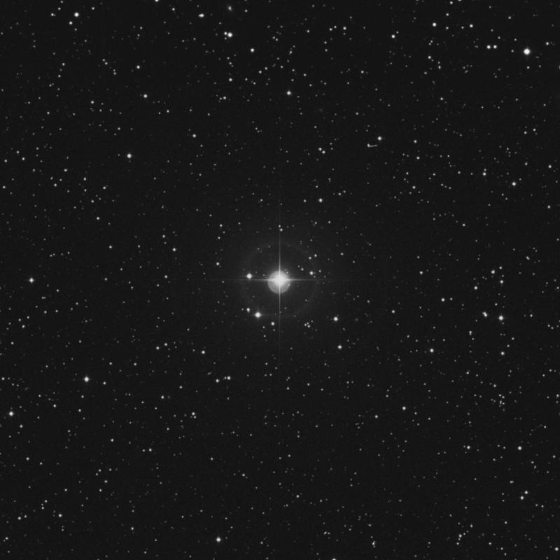 Image of 14 Canis Minoris star