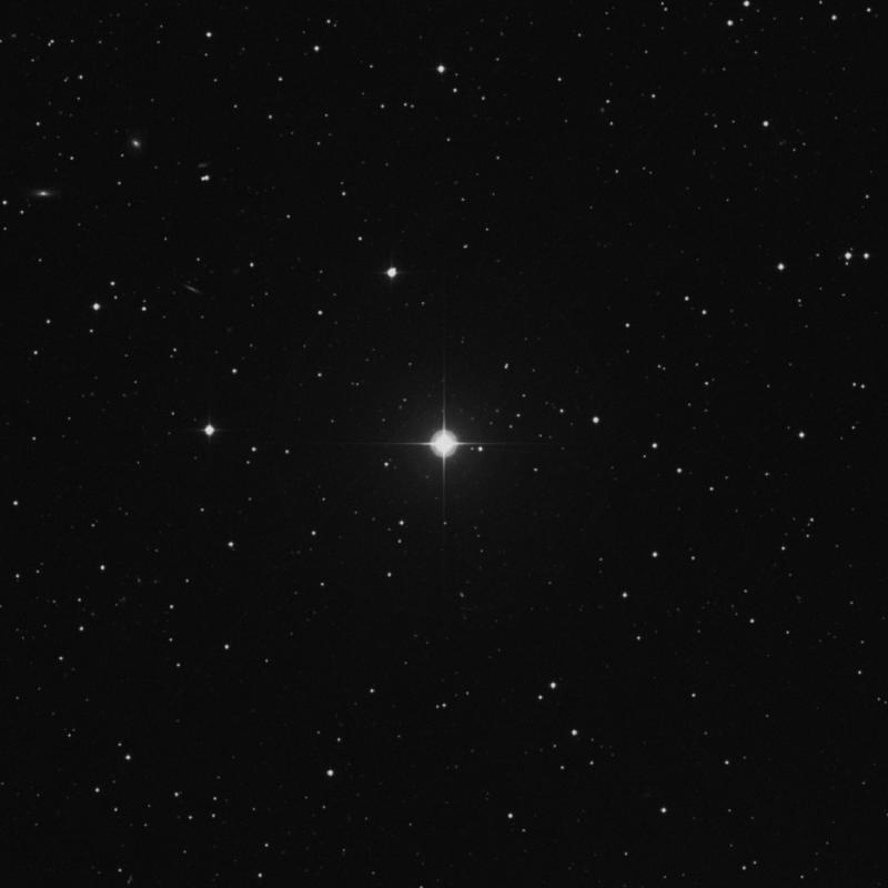 Image of 29 Lyncis star