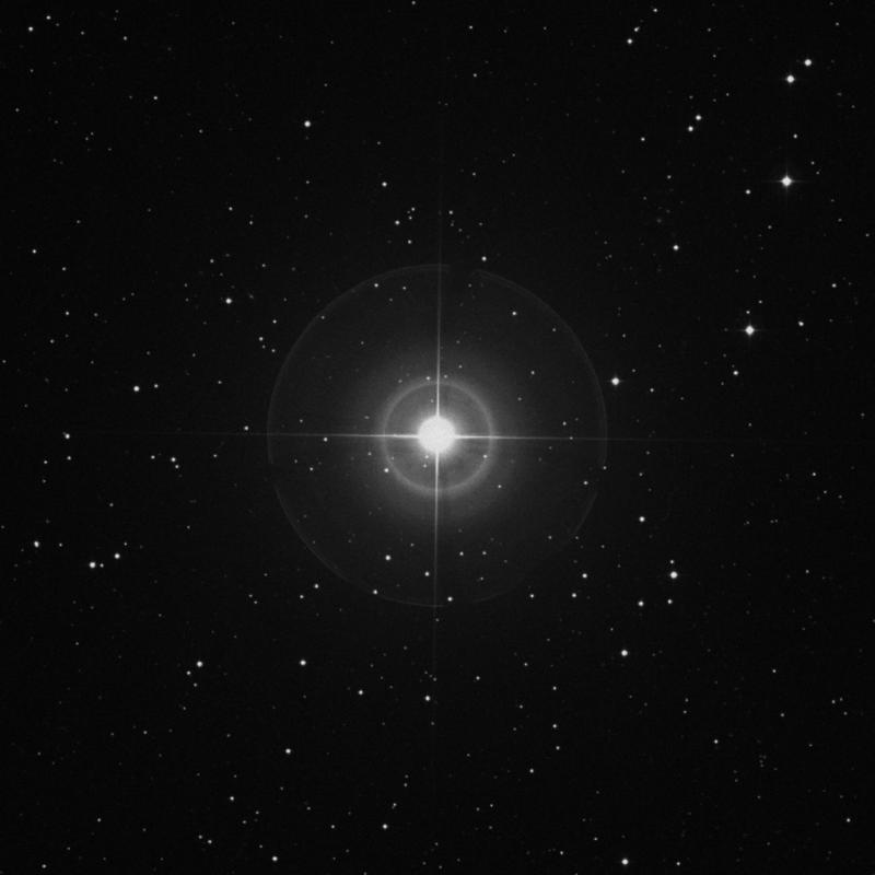 Image of Alsciaukat - 31 Lyncis star
