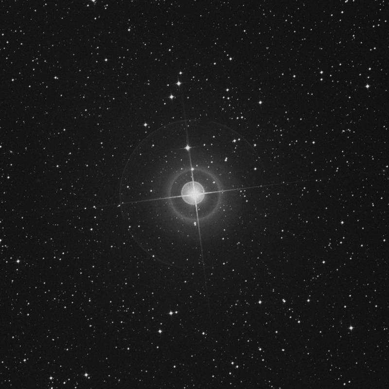 Image of α Chamaeleontis (alpha Chamaeleontis) star