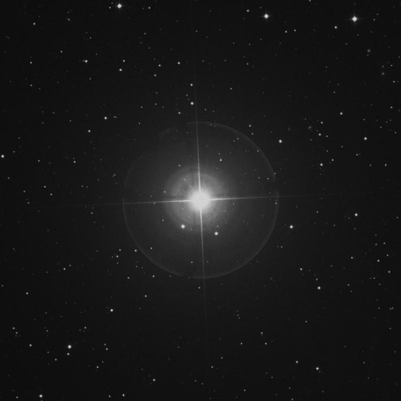 Image of Muscida - ο Ursae Majoris (omicron Ursae Majoris) star