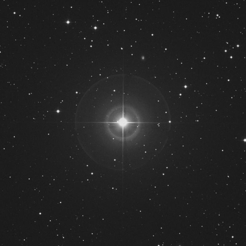 Image of Asellus Australis - δ Cancri (delta Cancri) star