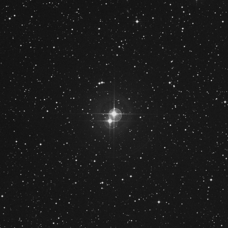 Image of HR3554 star