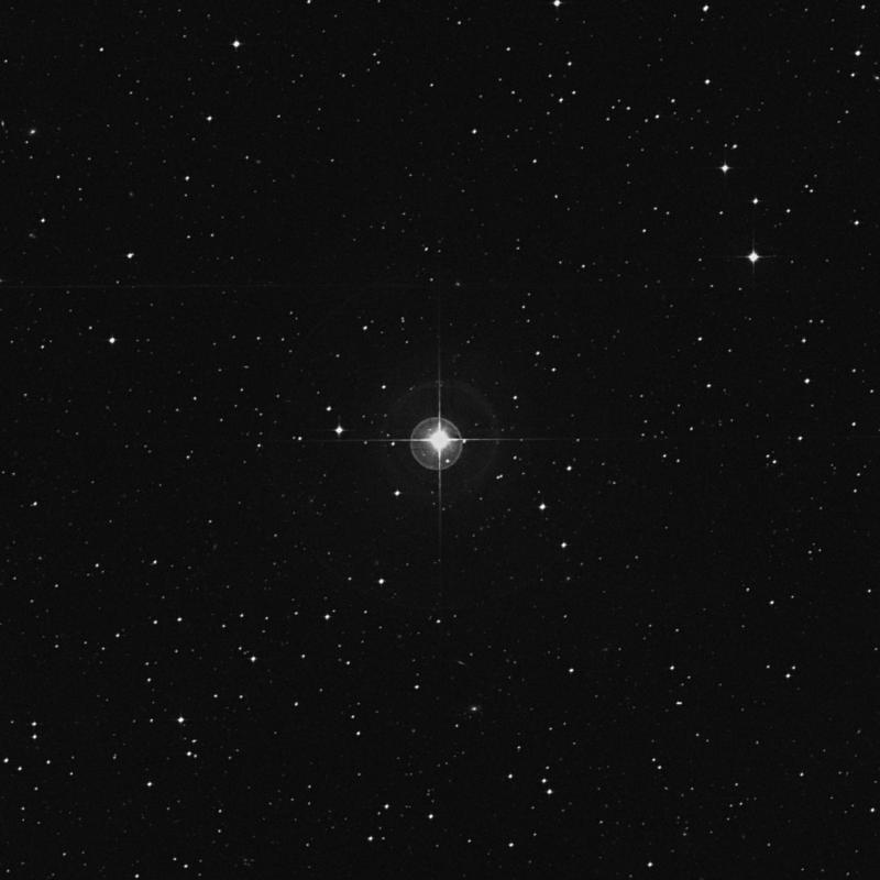 Image of 24 Hydrae star