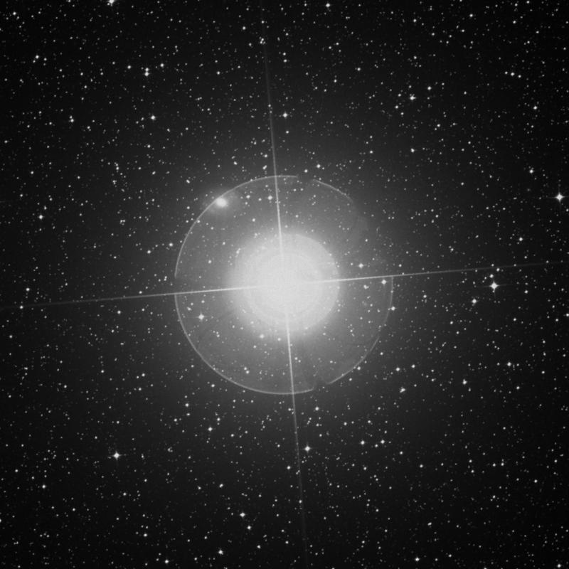 Image of Miaplacidus - β Carinae (beta Carinae) star