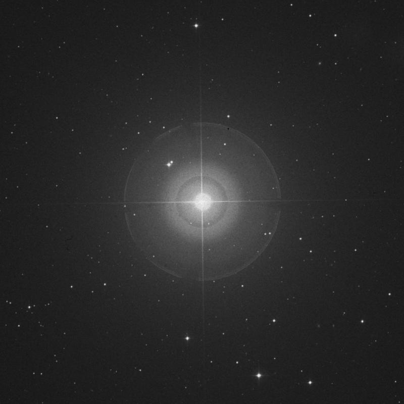 Image of α Lyncis (alpha Lyncis) star