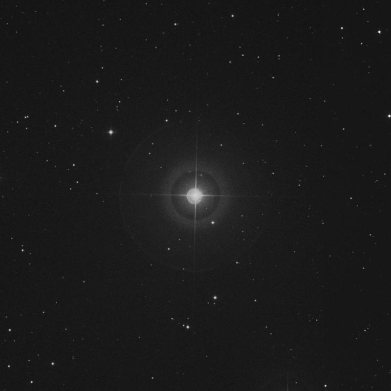Image of κ Leonis (kappa Leonis) star