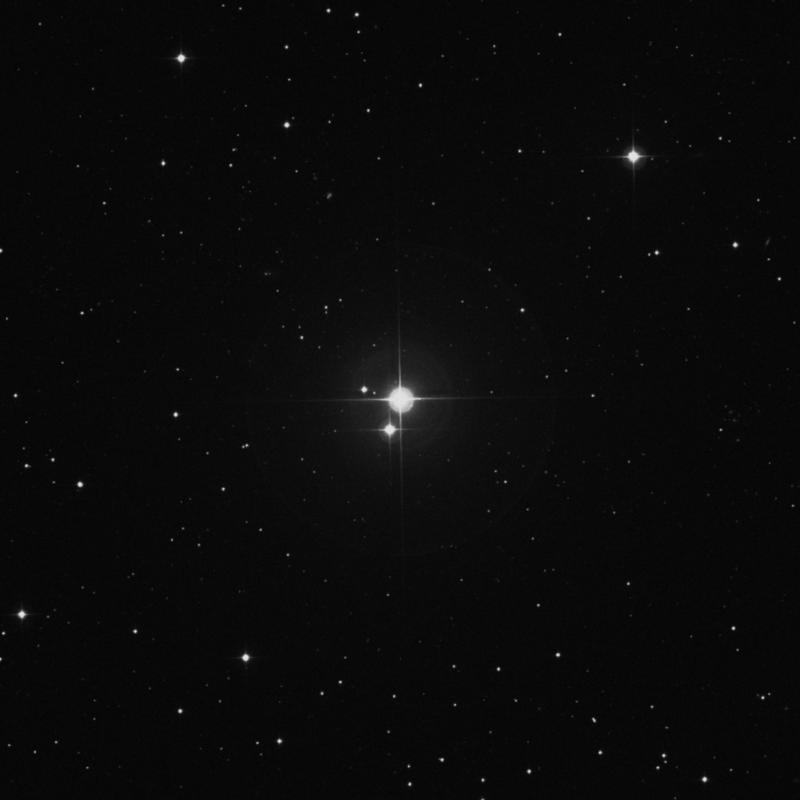 Image of Intercrus - HR3743 star